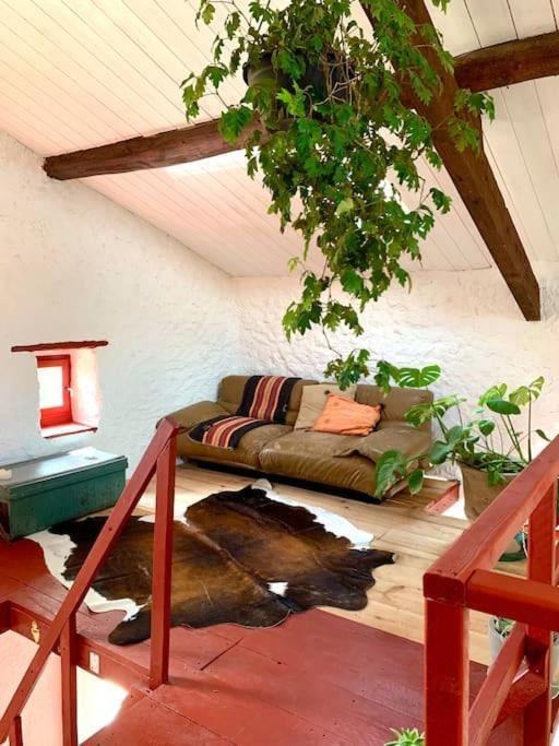 Bergerie Geldi Leku Villa Saint-Jean-le-Vieux  ภายนอก รูปภาพ
